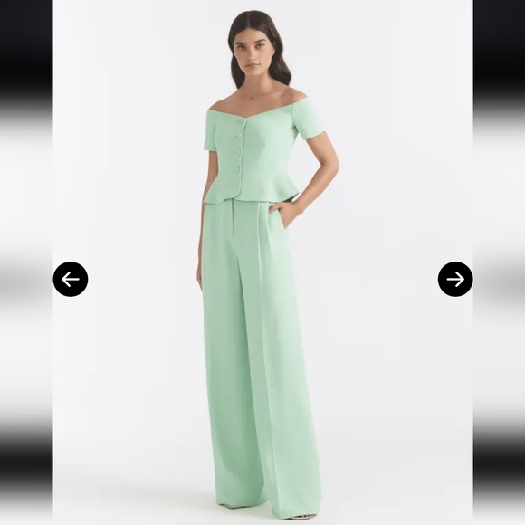 Saloni Wide Tailored Trouser in Mint